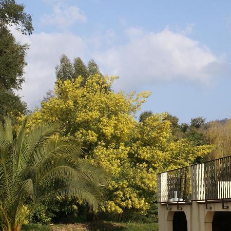 Jardins D'Antalya Bed & Breakfast กรีโมด์ ภายนอก รูปภาพ